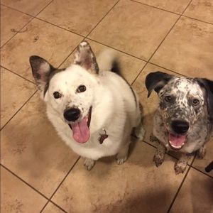 Meet your Posher, Laura